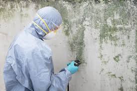 Mold Documentation for Insurance Claims in Muttontown, NY